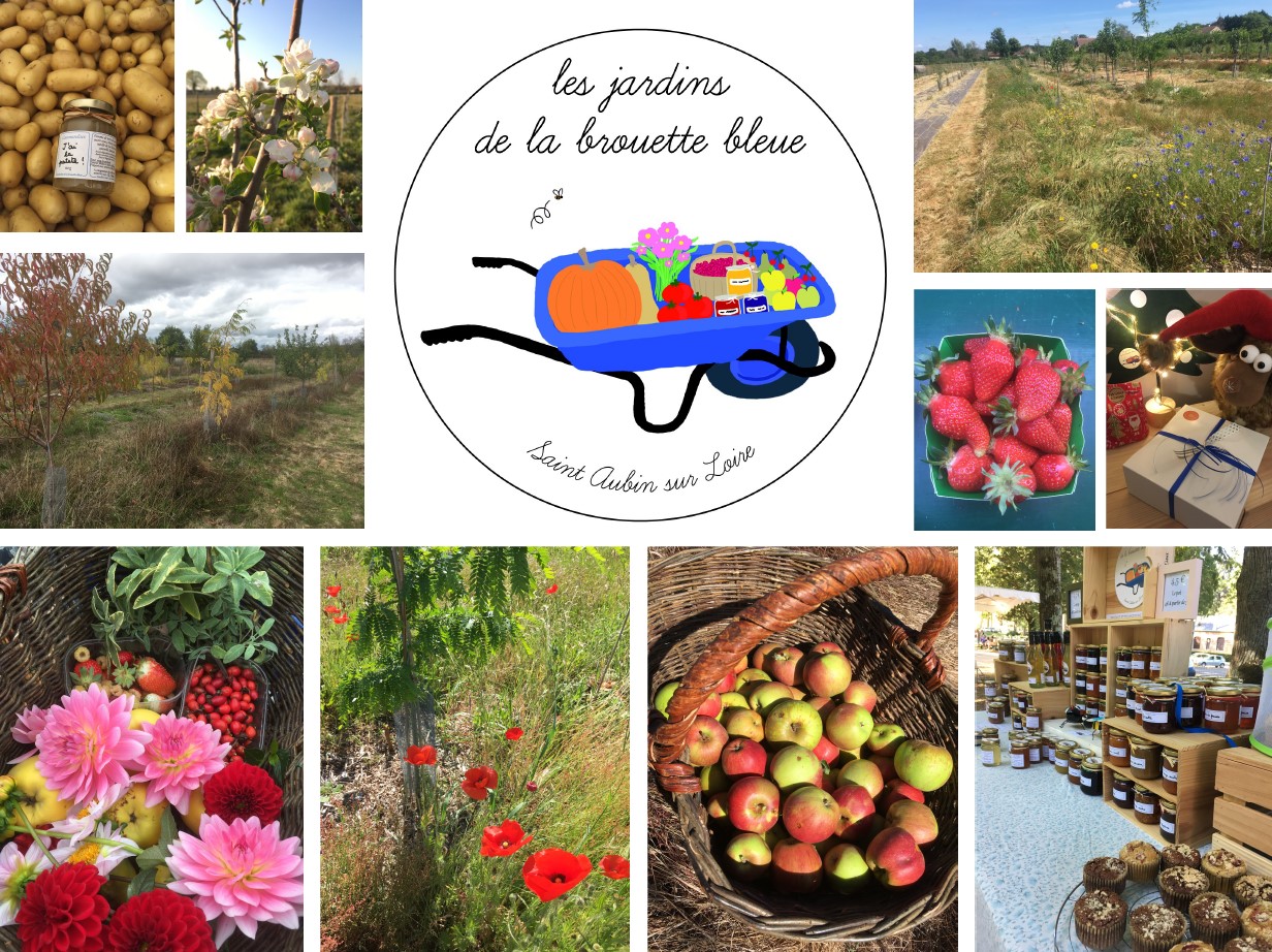 Les jardins de la brouette bleue